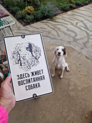 Табличка «Воспитанная собака»
