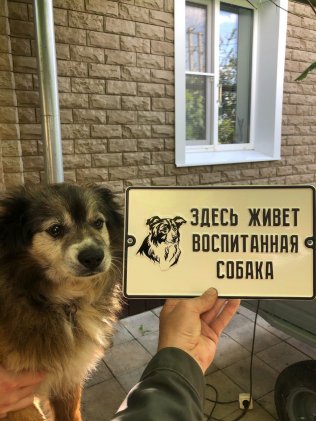Табличка «Воспитанная собака»